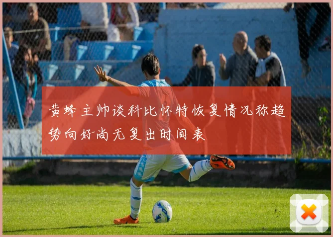 黄蜂主帅谈科比怀特恢复情况称趋势向好尚无复出时间表